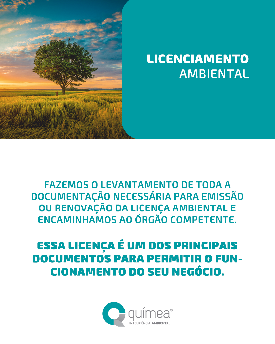 Como ter menos riscos com a gestão ambiental da sua empresa