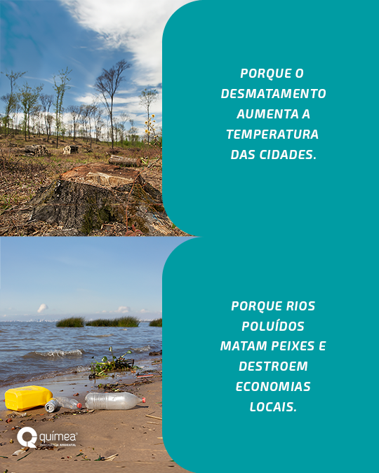 Por que cuidar do meio ambiente?