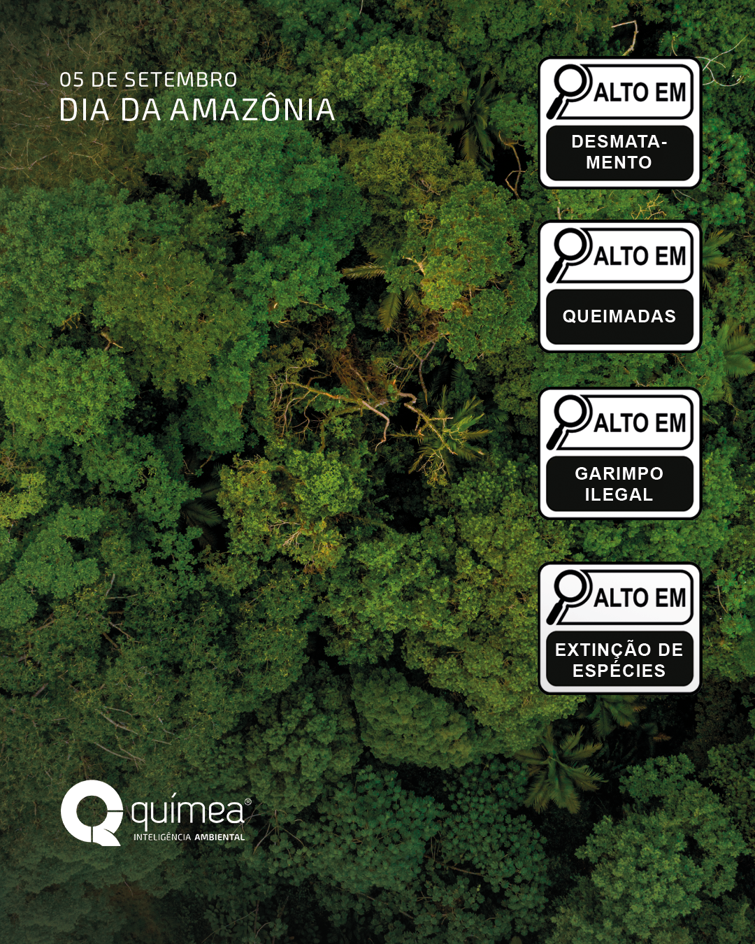 Dia da Amazônia
