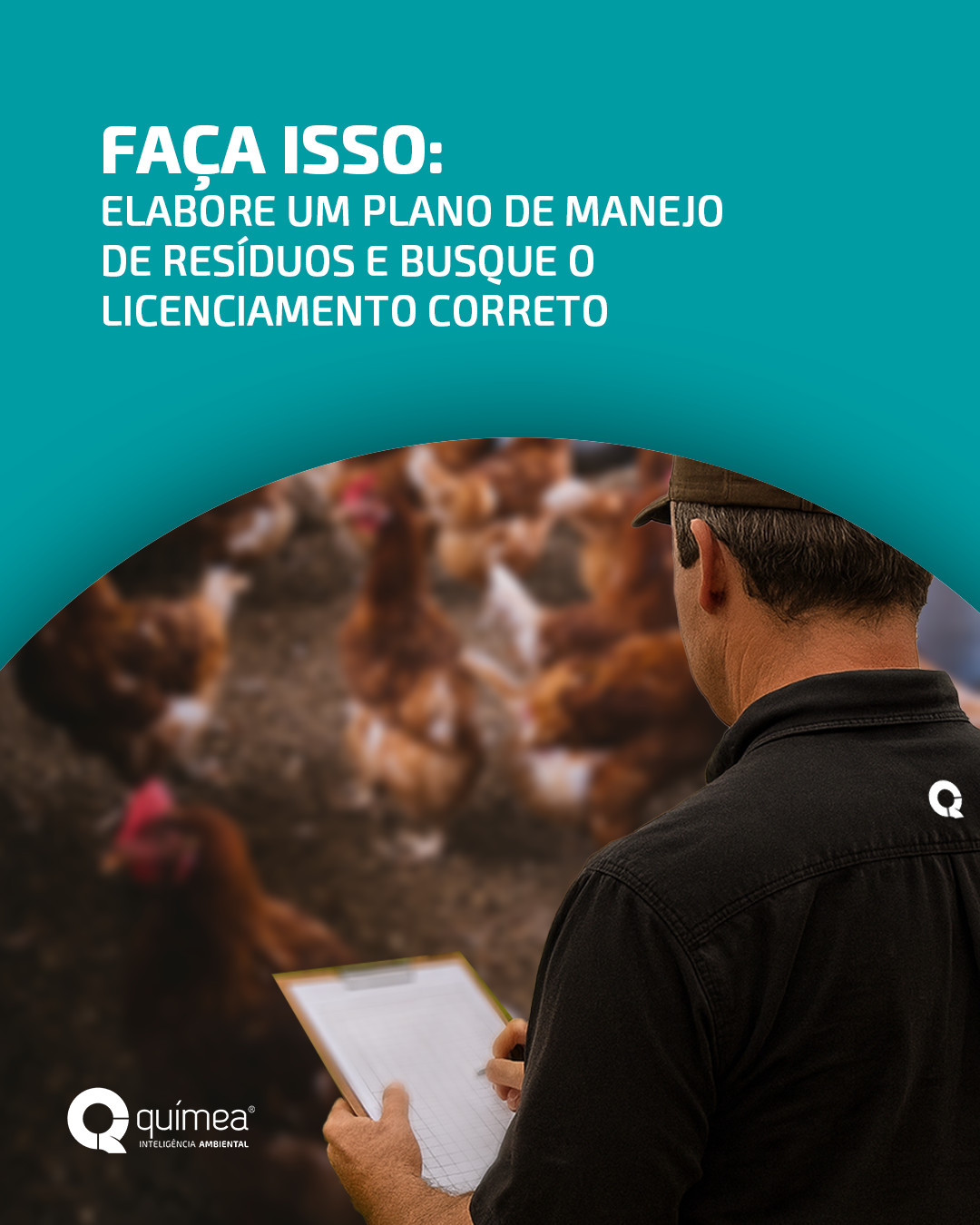 Ao invés de ampliar o número de animais sem considerar o manejo de dejetos, faça isso...