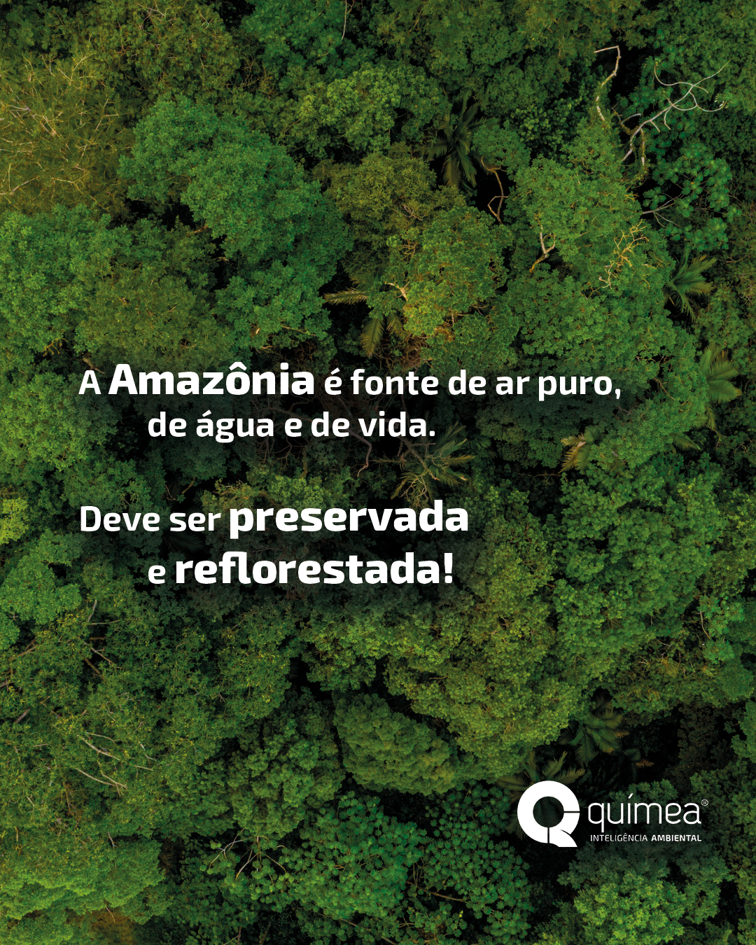 Dia da Amazônia