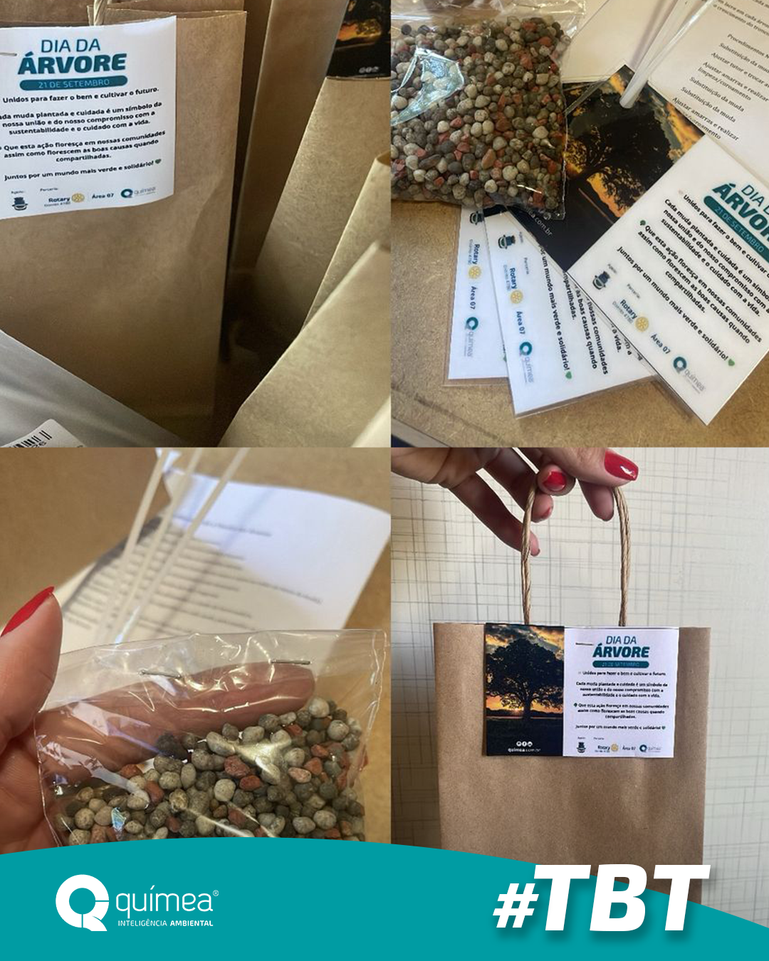  #TBT de um dia de plantio em Bagé/RS