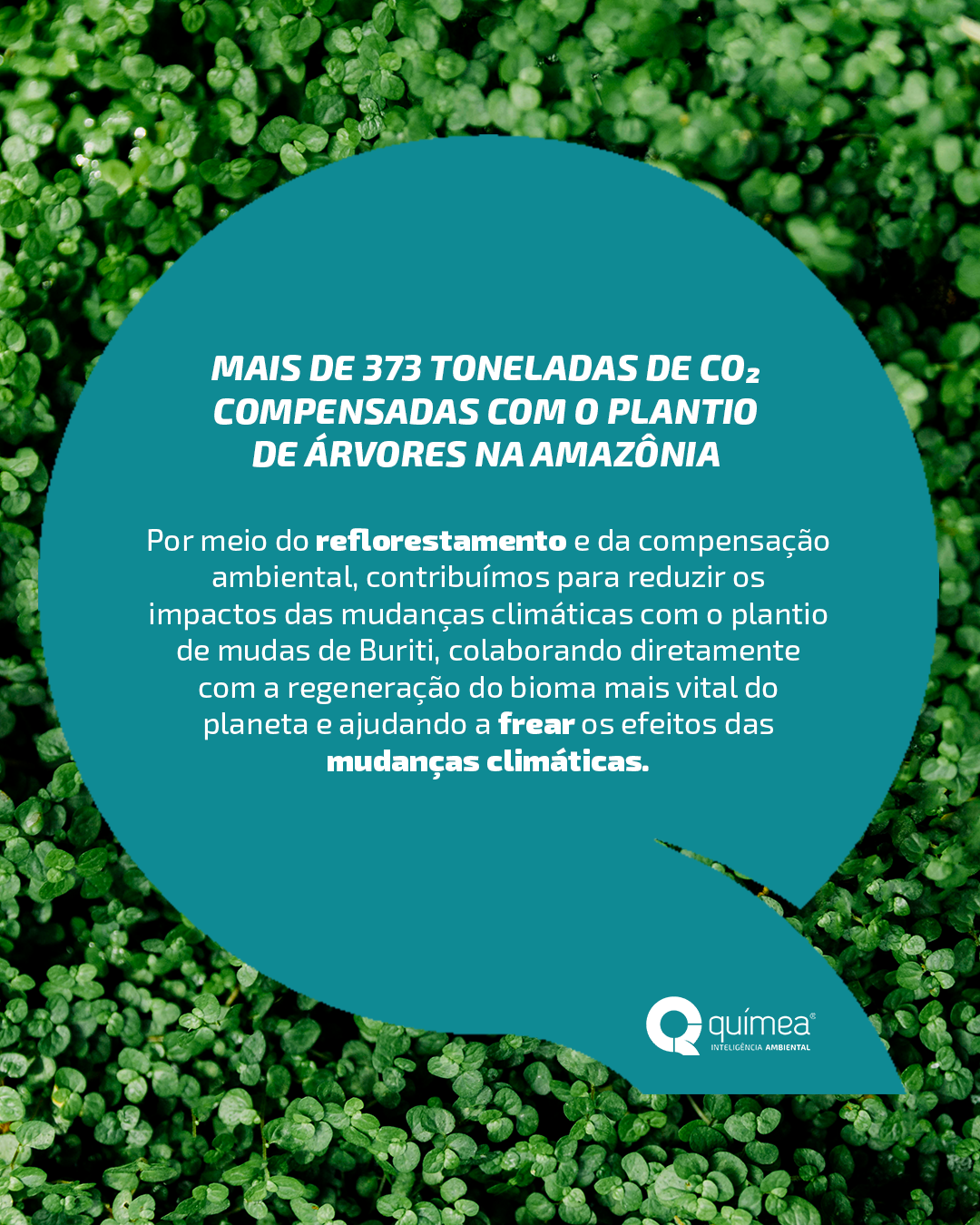 Nosso impacto positivo no planeta