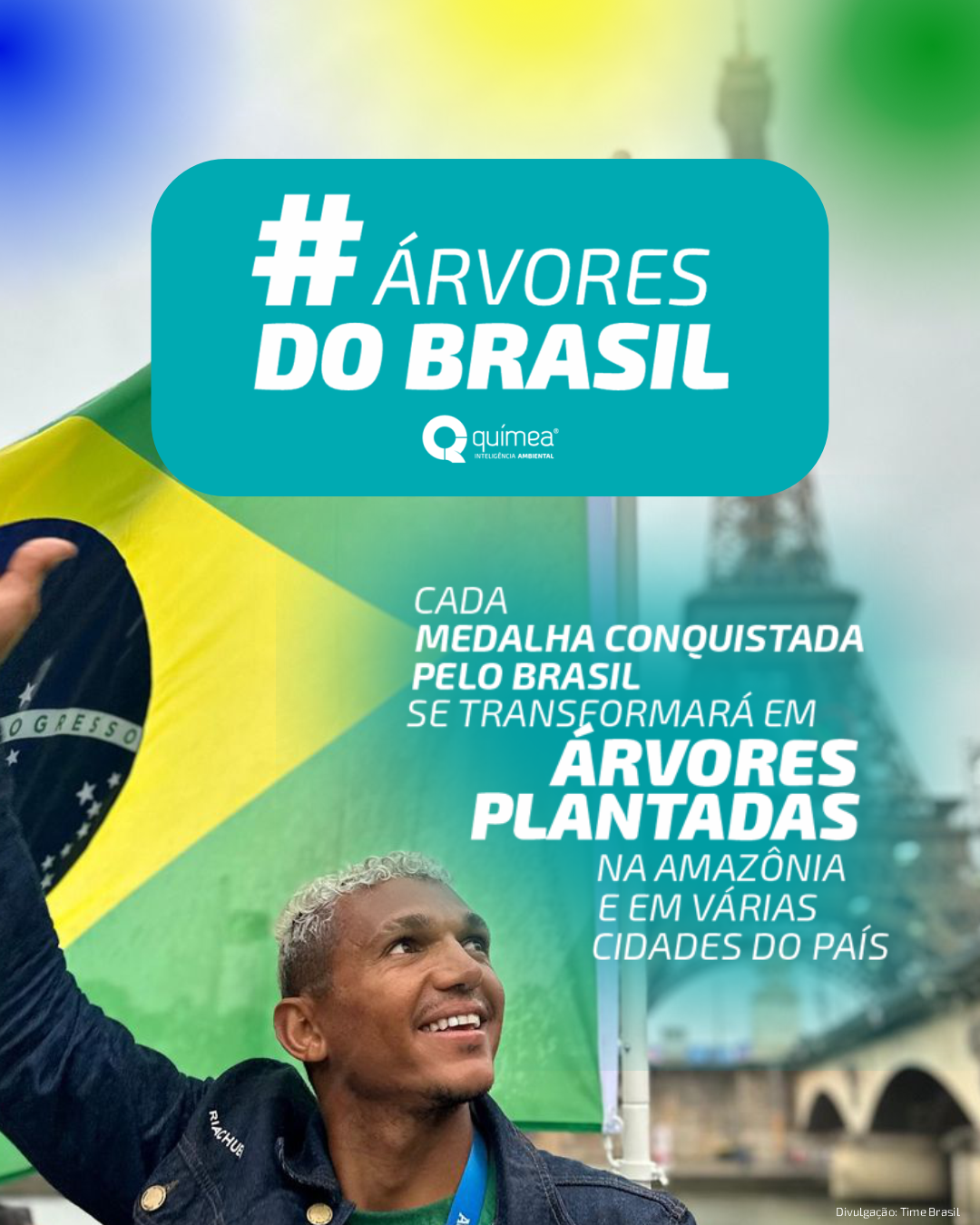 Campanha #ÁrvoresDoBrasil 