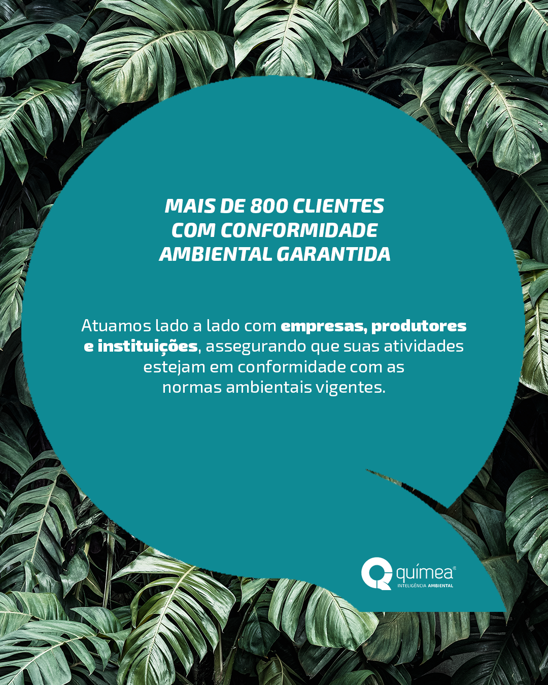 Nosso impacto positivo no planeta