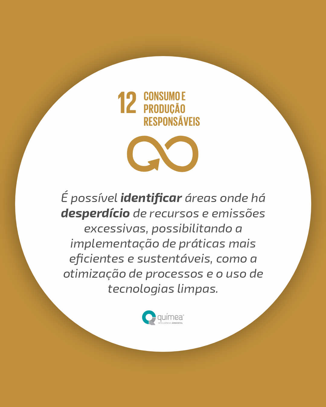 Confira quais ODS as empresas impactam ao realizar o Inventário de Gases do Efeito Estufa e a compensação de carbono