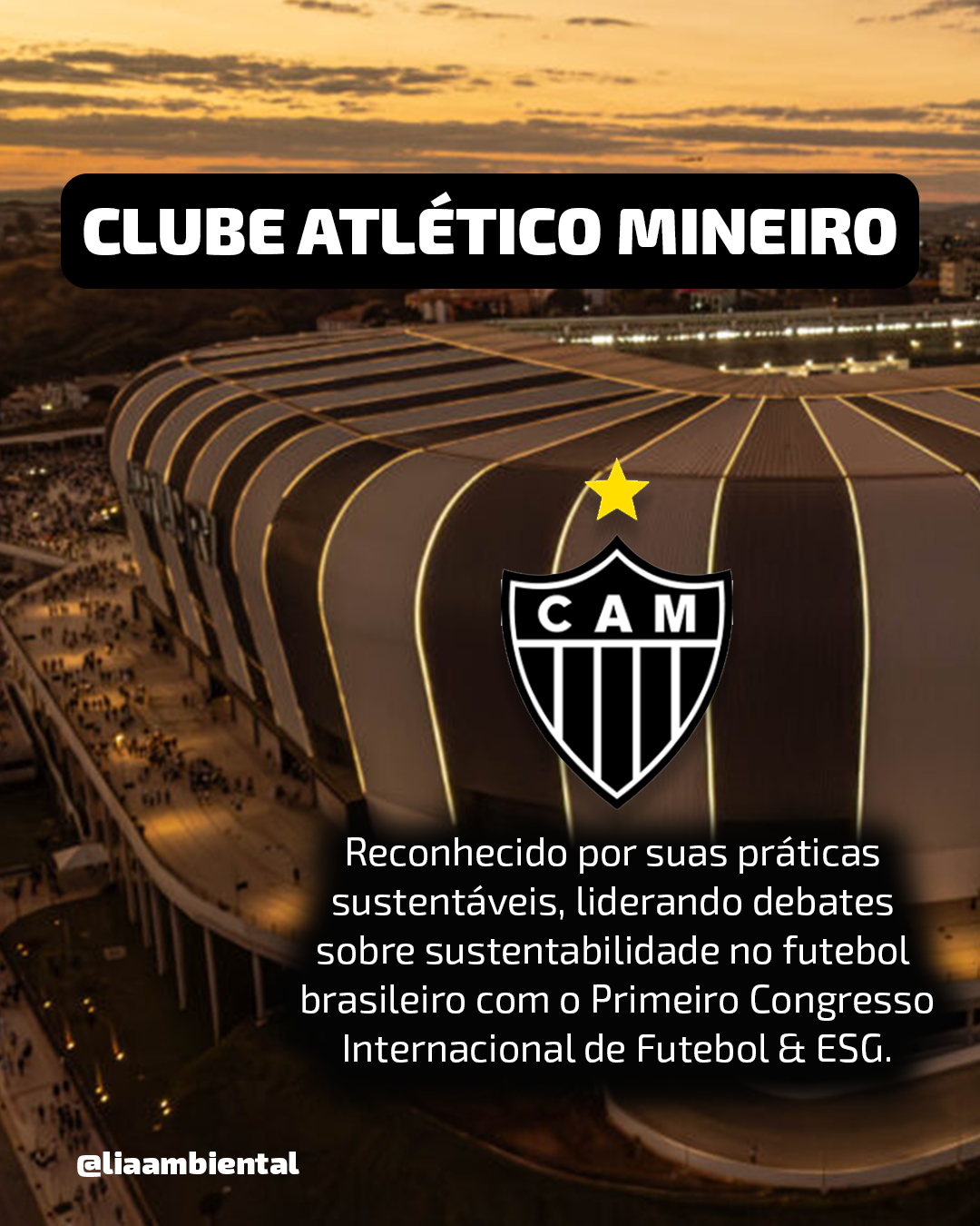 Quais os 05 clubes de futebol mais sustentáveis do Brasil?