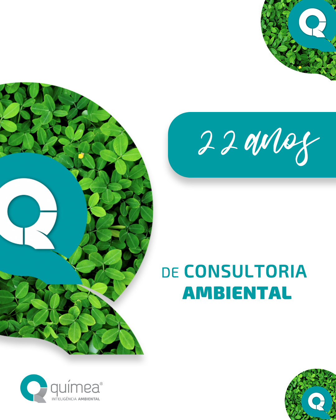 São 22 anos de Químea! 