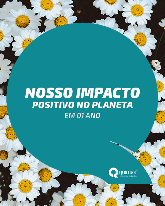 Nosso impacto positivo no planeta