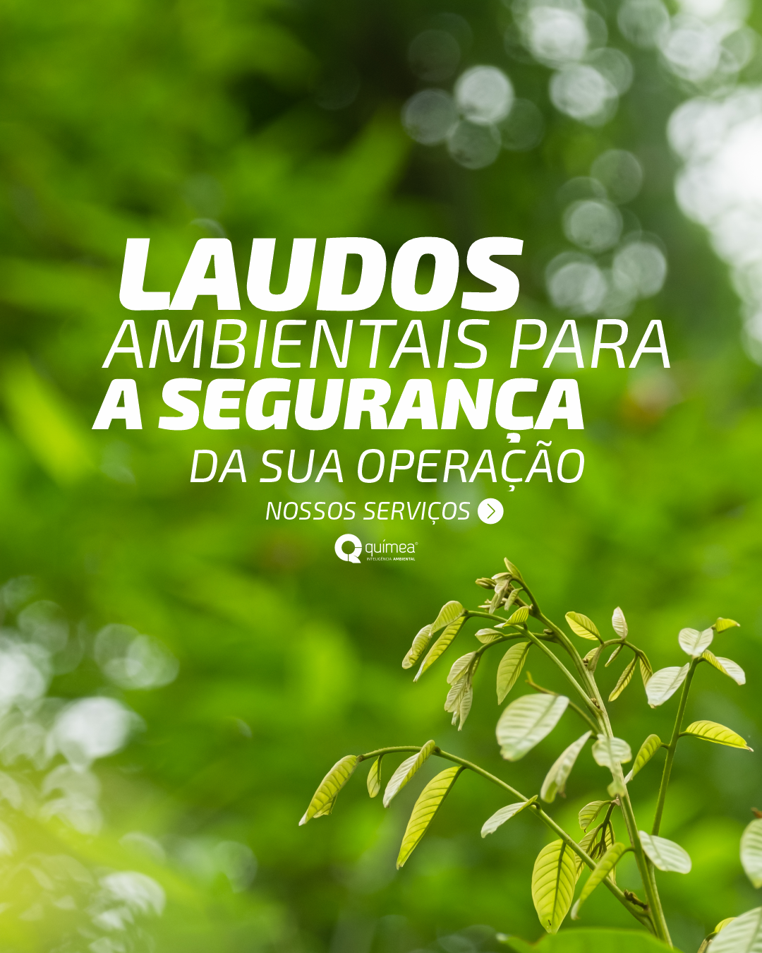 Laudos ambientais para a segurança da sua operação