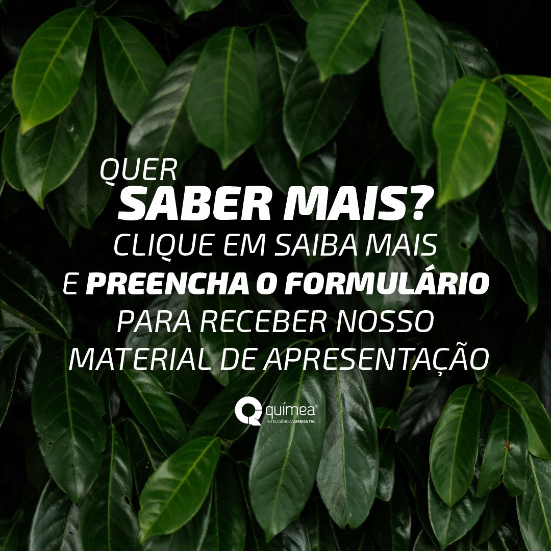 Você tem perfil para ser franqueado Químea?