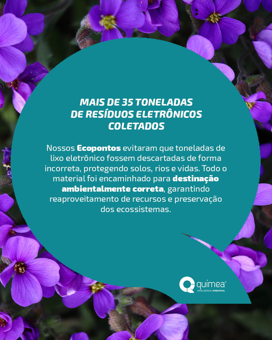 Nosso impacto positivo no planeta