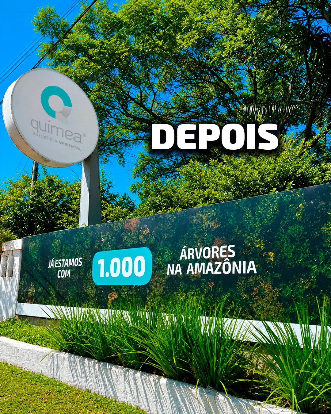 #MêsDaEcoeficiência: plantio de 1.000 árvores na Amazônia