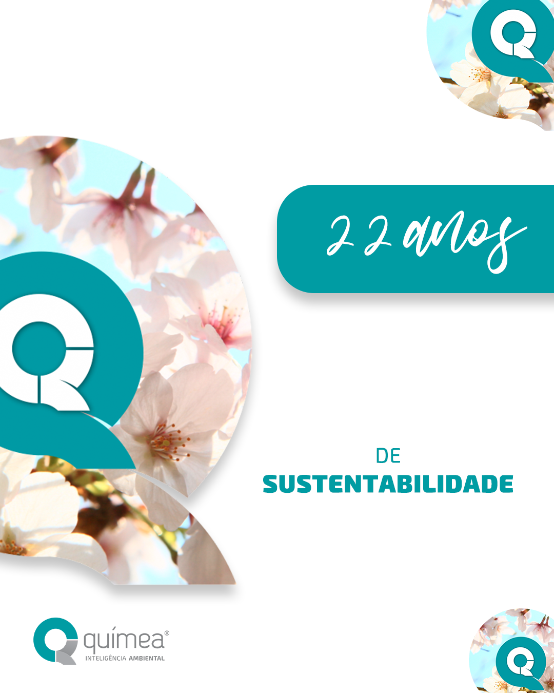 São 22 anos de Químea! 