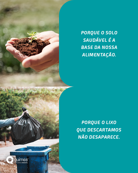 Por que cuidar do meio ambiente?