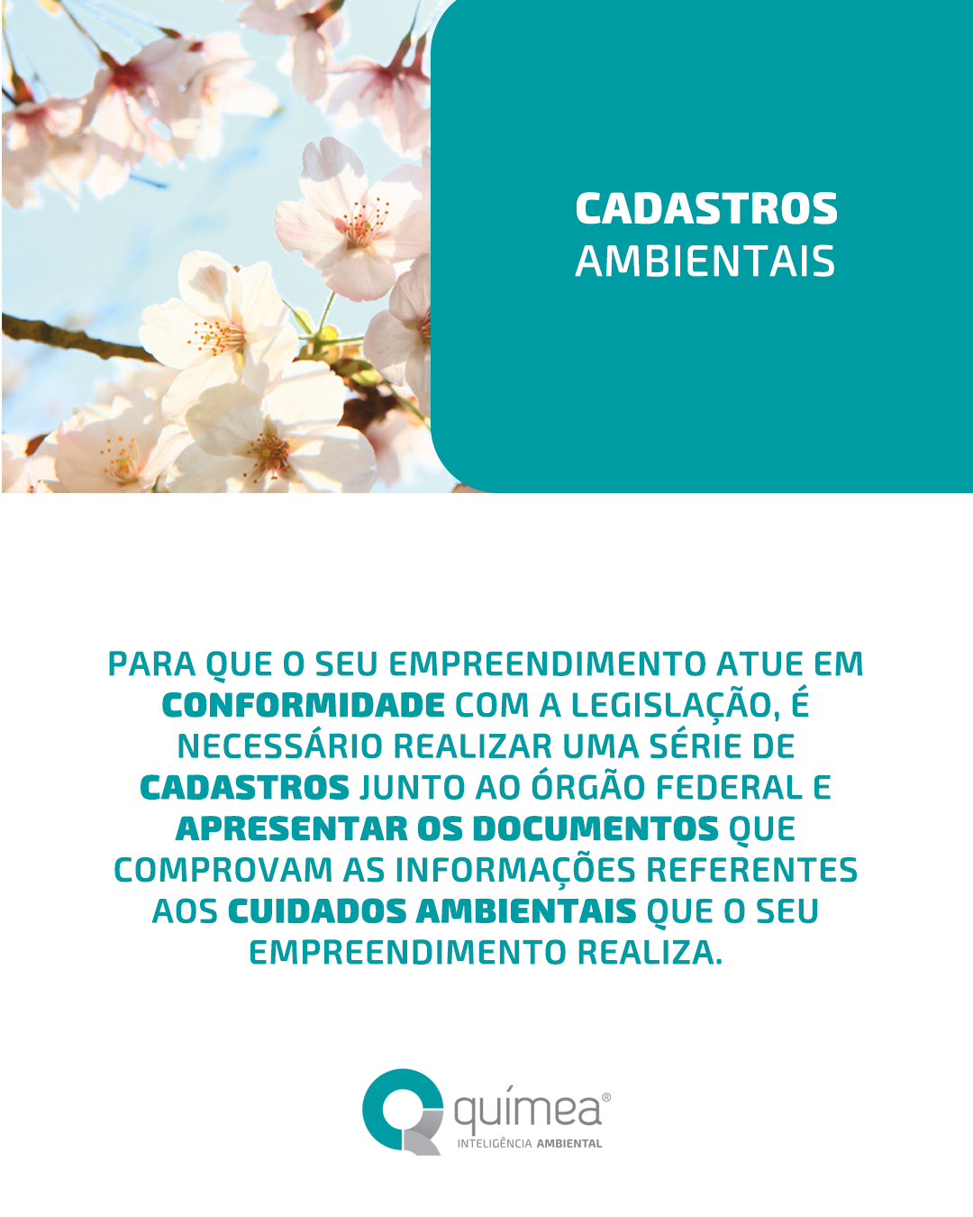 Como ter menos riscos com a gestão ambiental da sua empresa