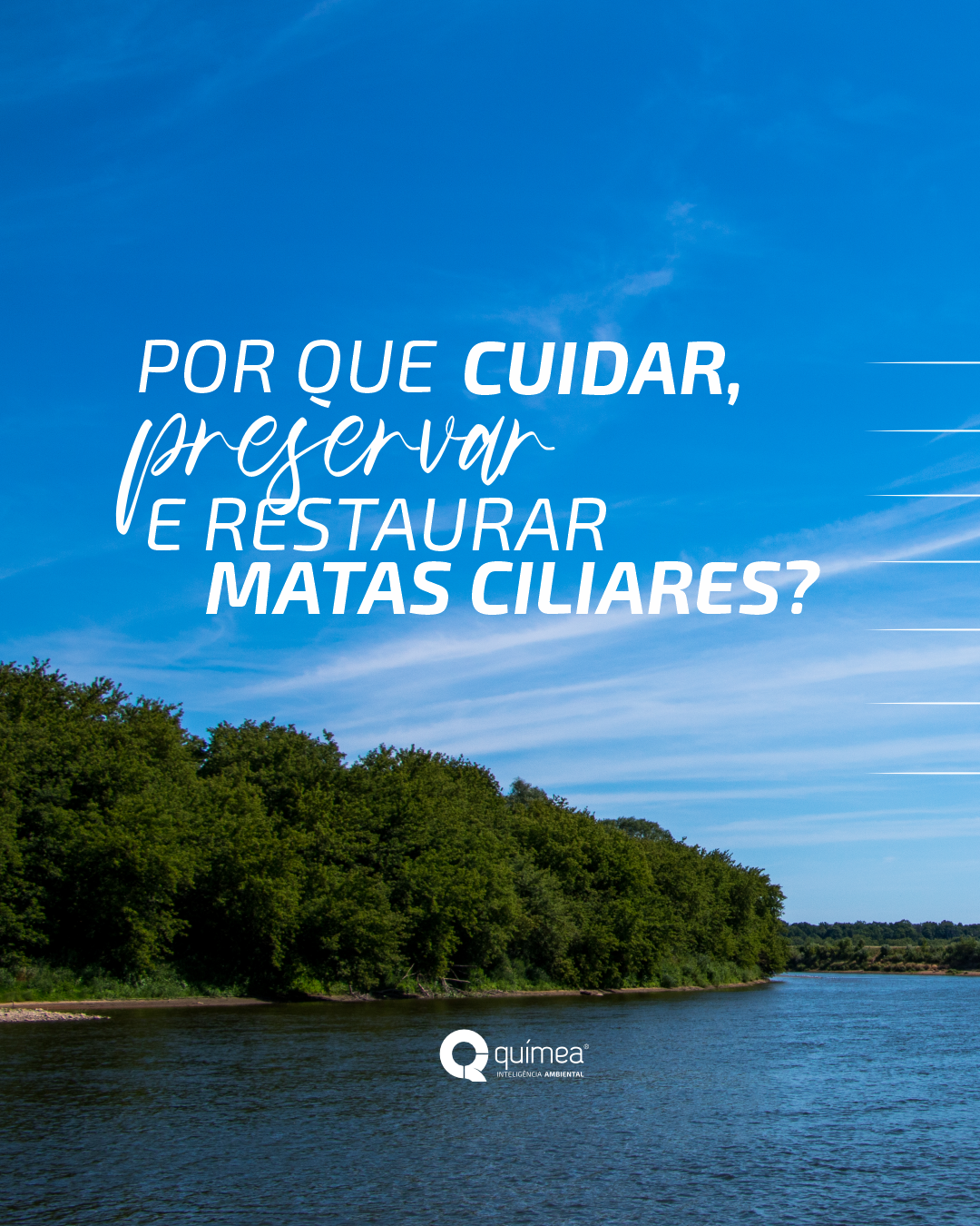 Por que cuidar, preservar e restaurar as matas ciliares?