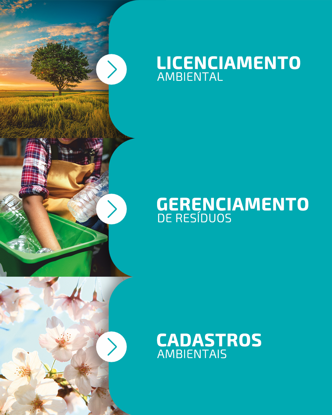 Vamos alavancar o seu negócio com sustentabilidade?