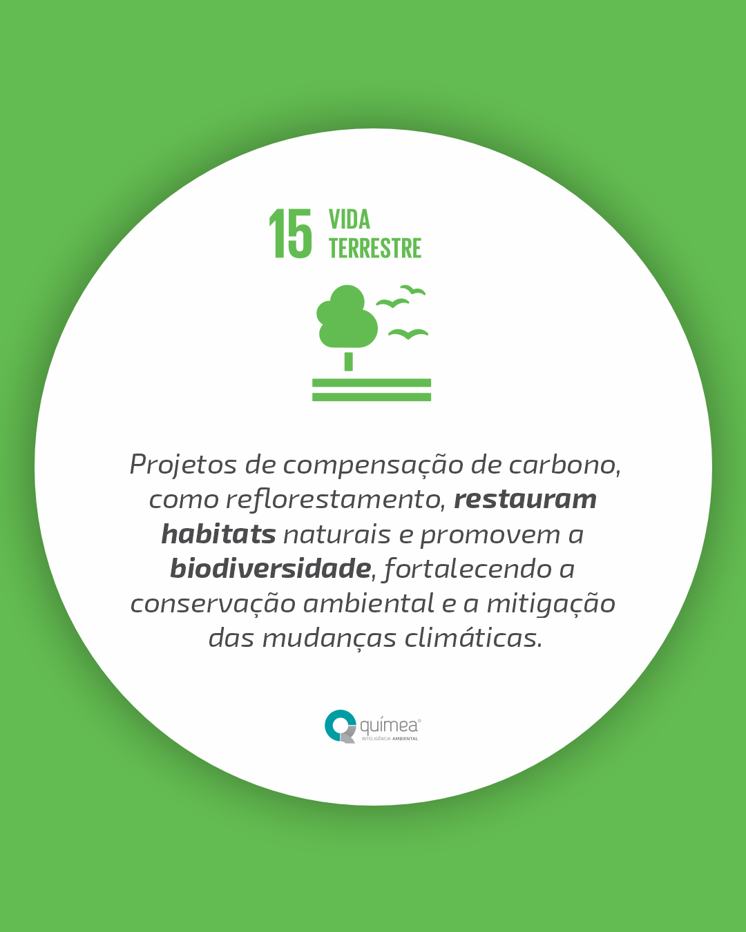 Confira quais ODS as empresas impactam ao realizar o Inventário de Gases do Efeito Estufa e a compensação de carbono