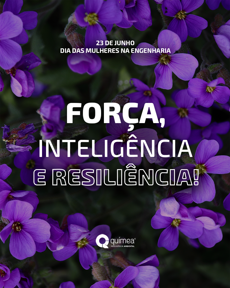 Dia das Mulheres na Engenharia