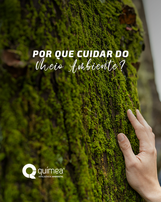 Por que cuidar do meio ambiente?