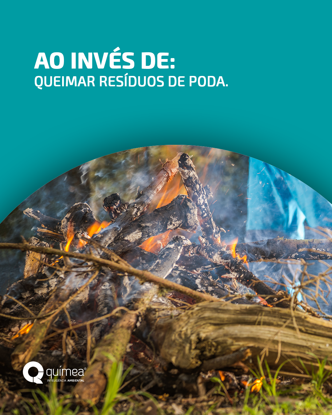 Ao invés de queimar resíduos de poda, faça isso...