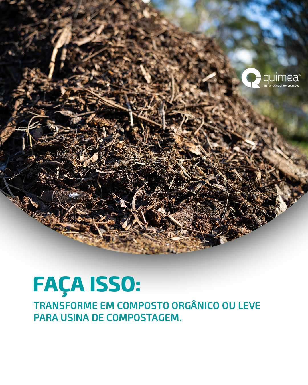 Ao invés de queimar resíduos de poda, faça isso...