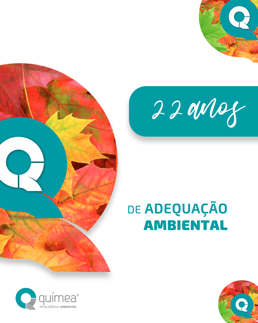 São 22 anos de Químea! 