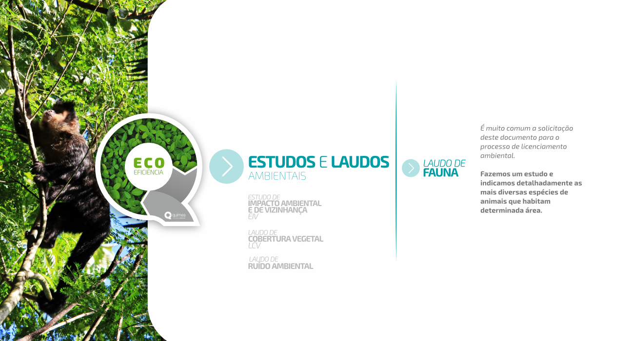 Catálogo Joinville