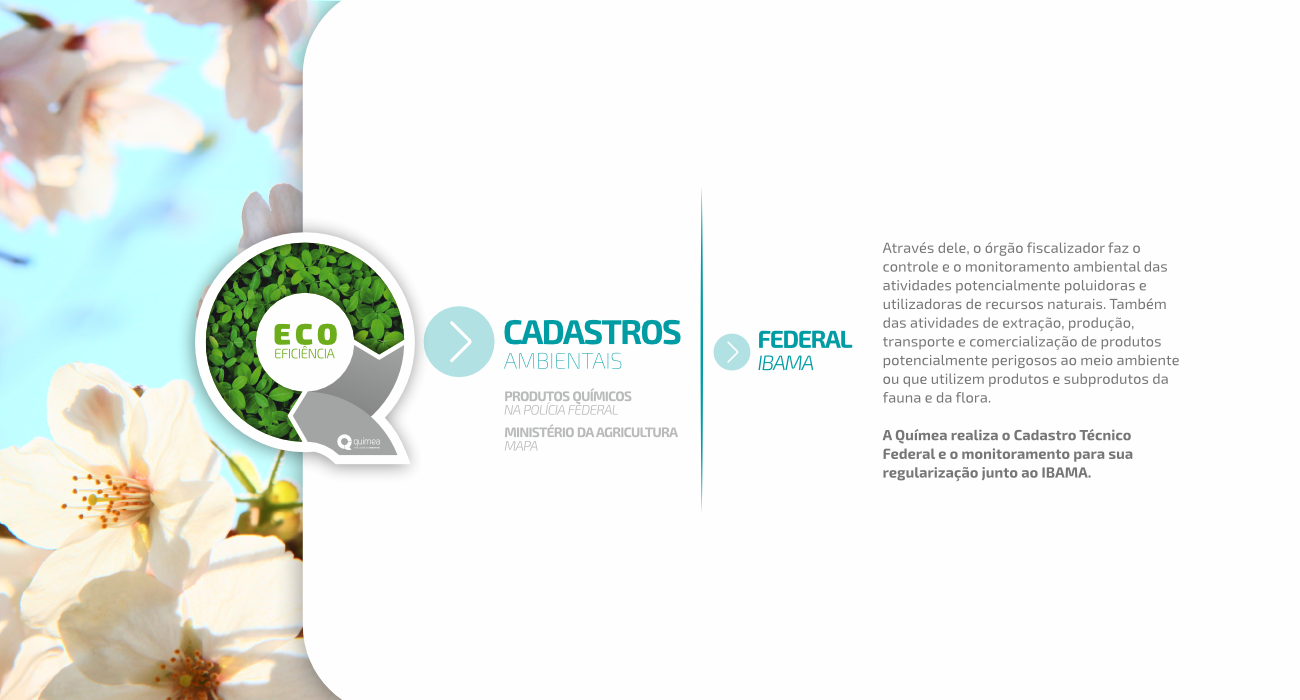 Catálogo Caçapava do Sul