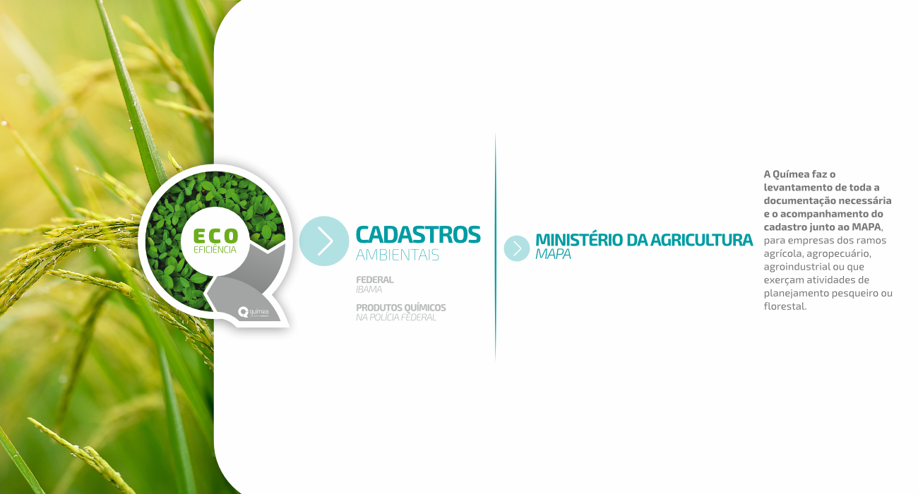 Catálogo Caçapava do Sul